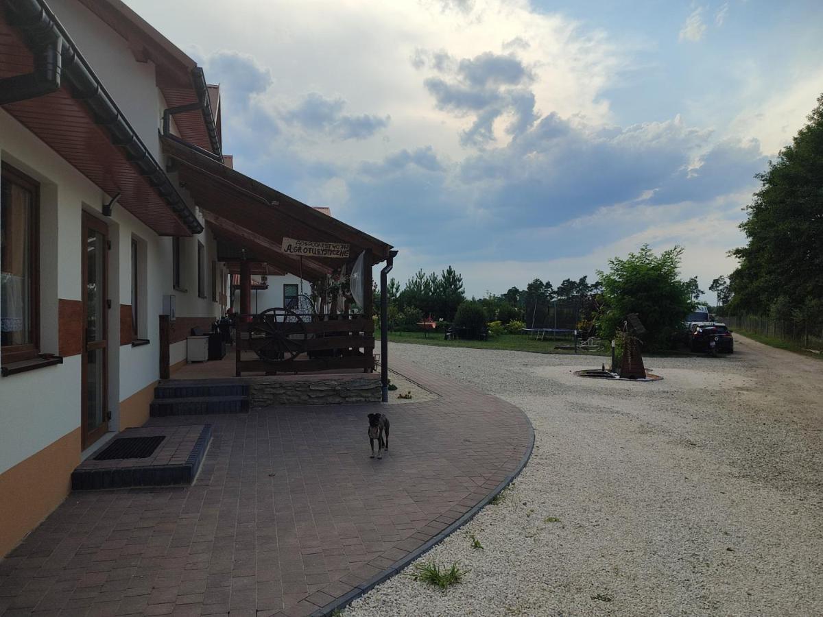 Agrowczasy Nad Stawem Villa Gartatowice Exterior foto