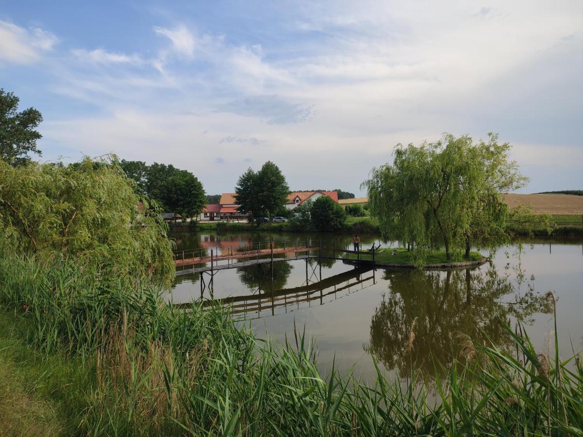 Agrowczasy Nad Stawem Villa Gartatowice Exterior foto