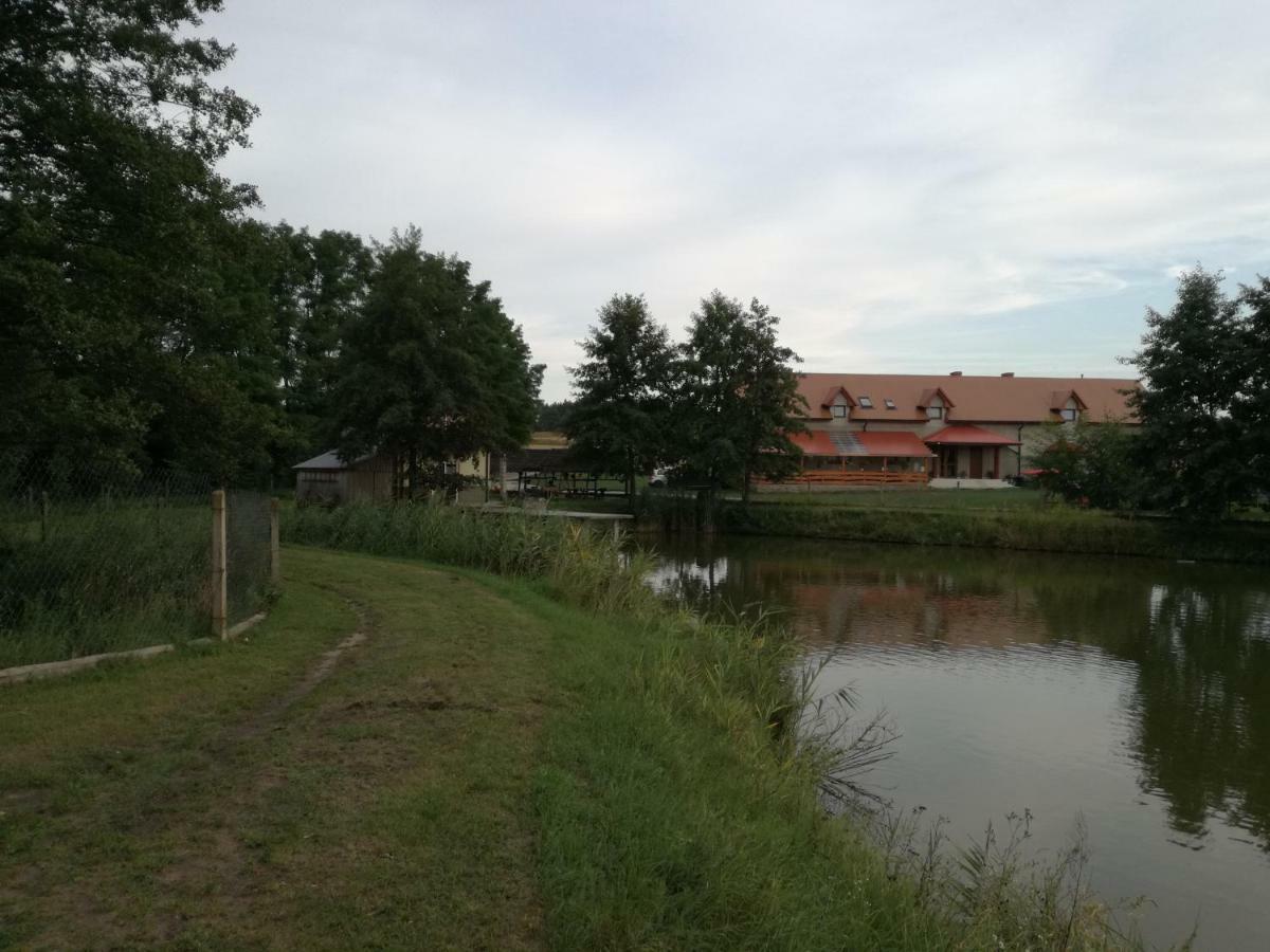 Agrowczasy Nad Stawem Villa Gartatowice Exterior foto
